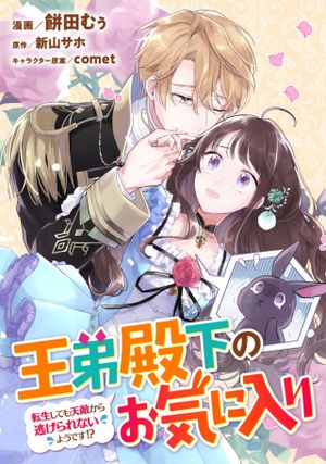 王弟殿下のお気に入り 転生しても天敵から逃げられないようです
