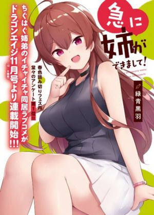 急に姉ができまして