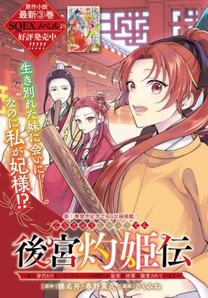後宮灼姫伝 妹の身代わりをしていたら、いつの間にか皇帝や将軍に寵愛されています