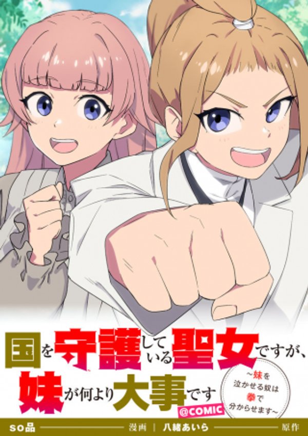 国を守護している聖女ですが、妹が何より大事です 妹を泣かせる奴は拳で分からせます