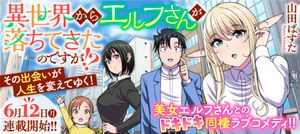 異世界からエルフさんが落ちてきたのですが