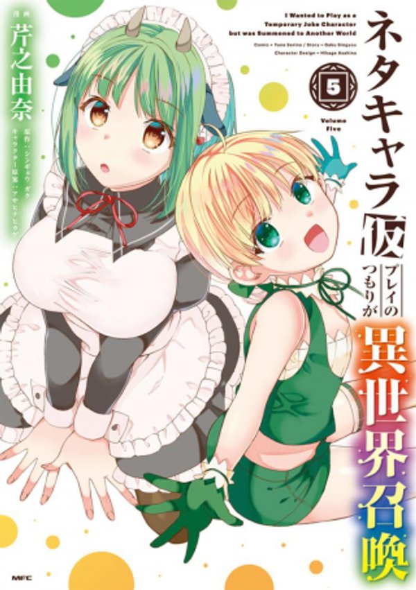 ネタキャラ仮プレイのつもりが異世界召喚 迷い人は女性の敵に認定されました 【ノクターン】