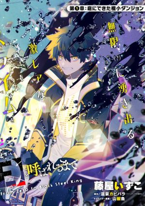 金属スライムを倒しまくった俺が【黒鋼の王】と呼ばれるまで 家の庭で極小ダンジョンを見つけました