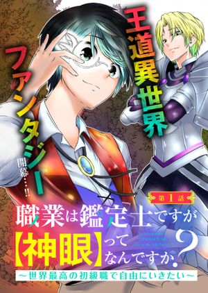 職業は鑑定士ですが【神眼】ってなんですか 世界最高の初級職で自由にいきたい
