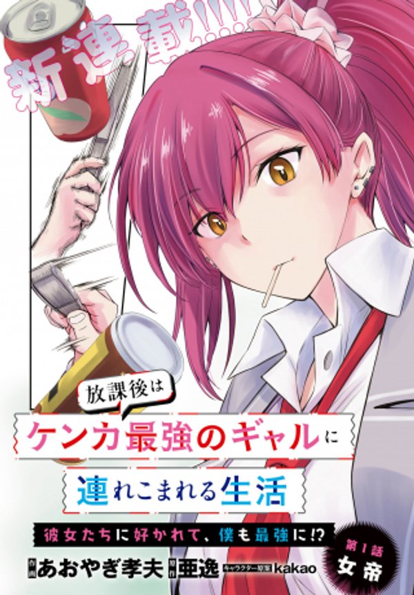 放課後はケンカ最強のギャルに連れこまれる生活 彼女たちに好かれて、僕も最強に