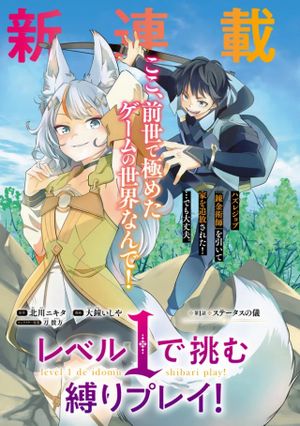 レベル で挑む縛りプレイ