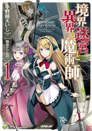 境界迷宮と異界の魔術師