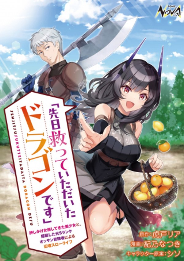 「先日救っていただいたドラゴンです」 押しかけ女房してきた美少女と、隠居した元 ランクオッサン冒険者による辺境スローライフ