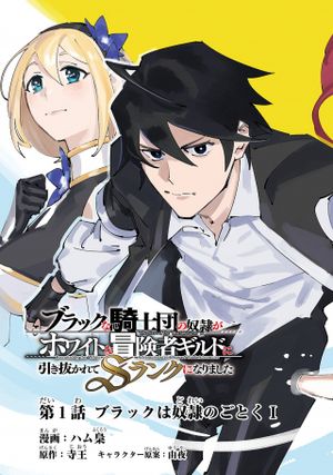 ブラックな騎士団の奴隷がホワイトな冒険者ギルドに引き抜かれて ランクになりました