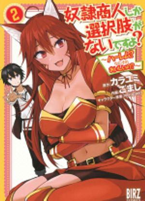 奴隷商人しか選択肢がないですよ ハーレム なにそれおいしいの