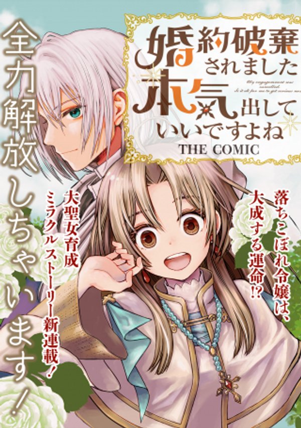 婚約破棄されました 本気出していいですよね