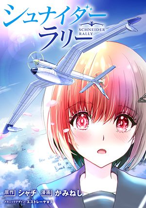 シュナイダーラリー