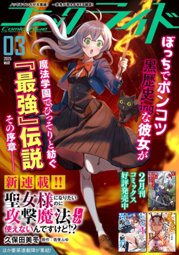 聖女様になりたいのに攻撃魔法しか使えないんですけど！？