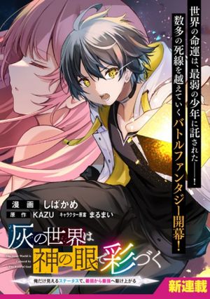 灰の世界は神の眼で彩づく ～俺だけ見えるステータスで、最弱から最強へ駆け上がる～