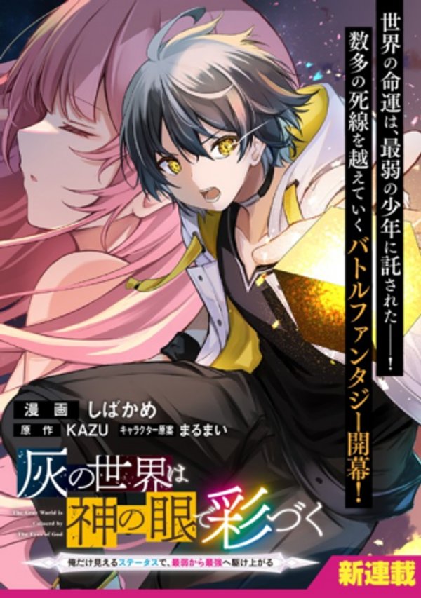 灰の世界は神の眼で彩づく ～俺だけ見えるステータスで、最弱から最強へ駆け上がる～