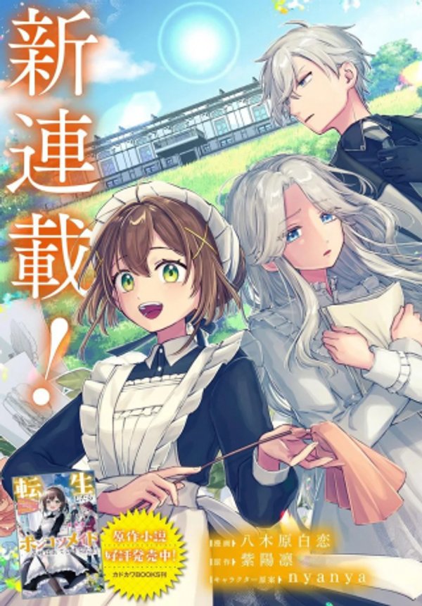 転生したらポンコツメイドと呼ばれていました 前世のあれこれを持ち込みお屋敷改革します