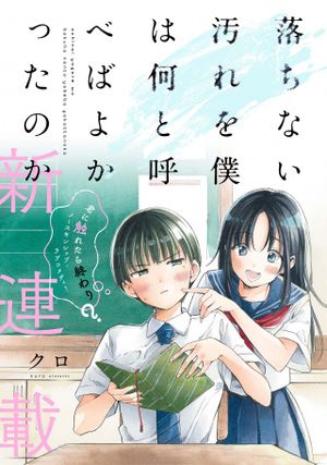 落ちない汚れを僕は何と呼べばよかったのか