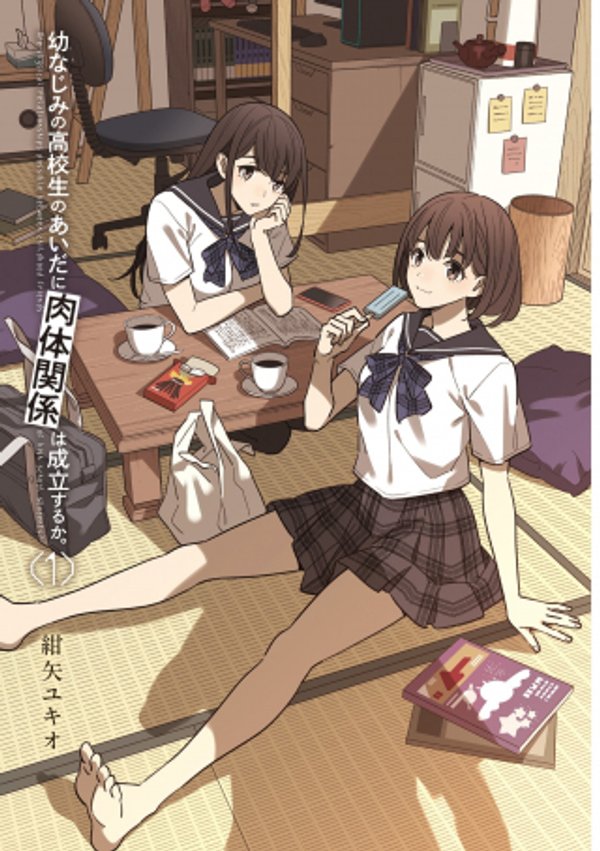 幼なじみの高校生のあいだに肉体関係は成立するか。