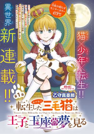 転生した三毛猫は王子と玉座の夢を見る