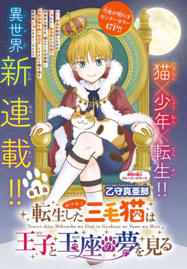 転生した三毛猫は王子と玉座の夢を見る