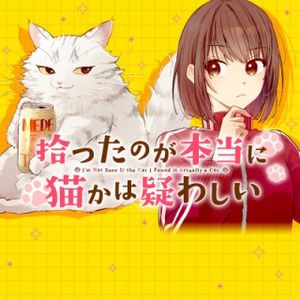 拾ったのが本当に猫かは疑わしい