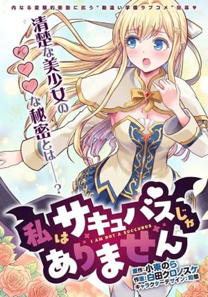 私はサキュバスじゃありません