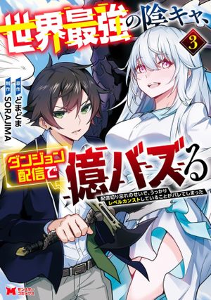 配信切り忘れのせいで、うっかりレベルカンストしていることがバレてしまった
