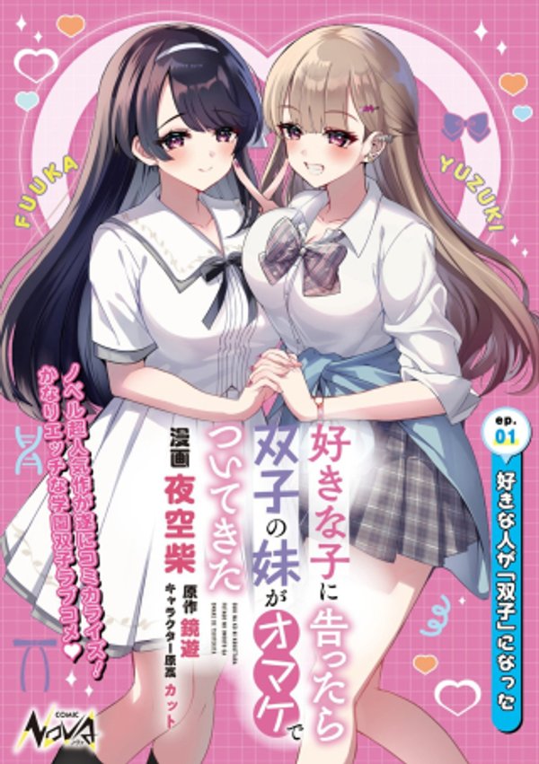 好きな子に告ったら、双子の妹がオマケでついてきた