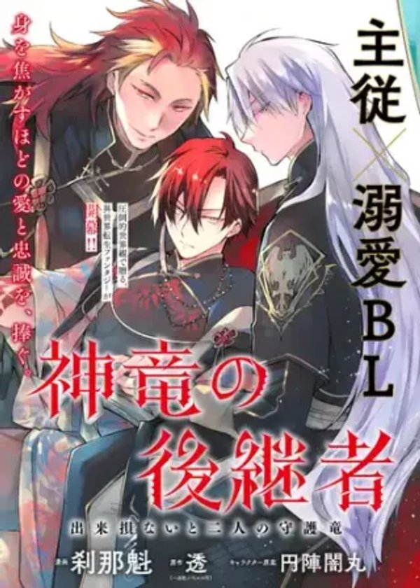 神竜の後継者 出来損ないと二人の守護竜