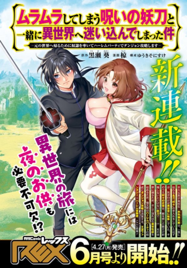 元の世界へ帰るために奴隷を率いてハーレムパーティでダンジョン攻略します