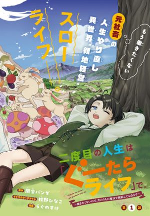 働きたくないので、今のうちに魔法で開拓しておきます