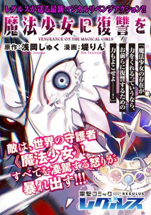 魔法少女に復讐を